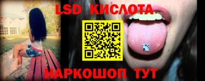 амф Камышлов