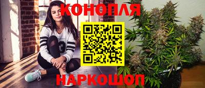 амф Камышлов