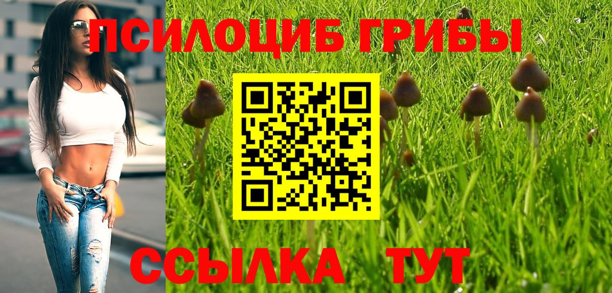 Псилоцибиновые грибы MAGIC MUSHROOMS Люберцы