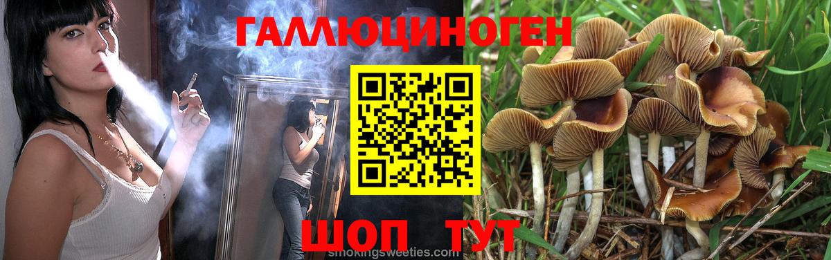 где найти   Галлюциногенные грибы Magic Shrooms  Вход с VPN  Люберцы 